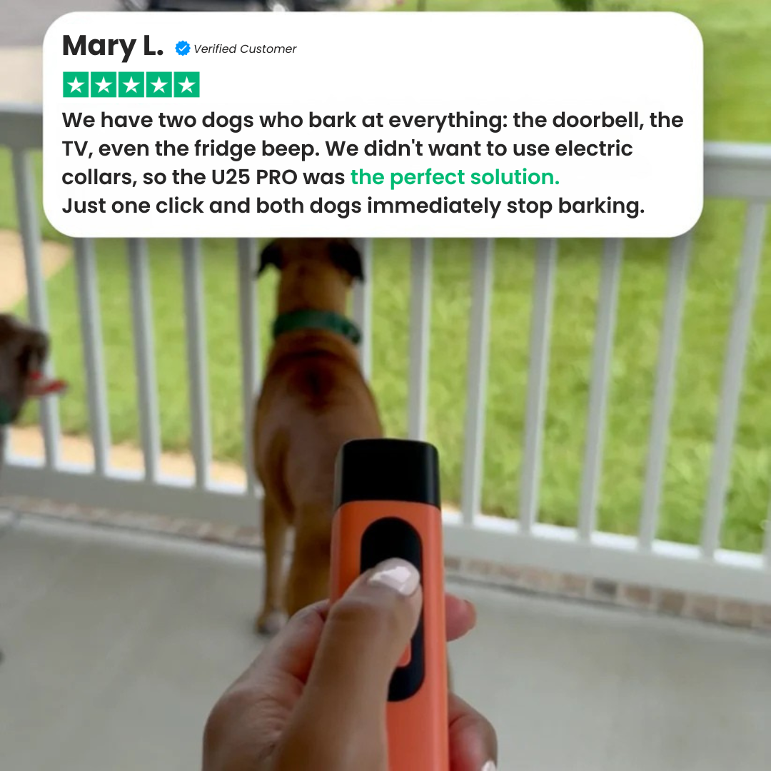 U25 PRO | The Smart Anti-Bark Device