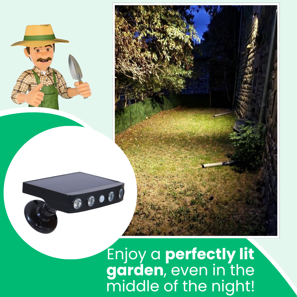 Outdoor Light With Motion Sensor LUMIGARD