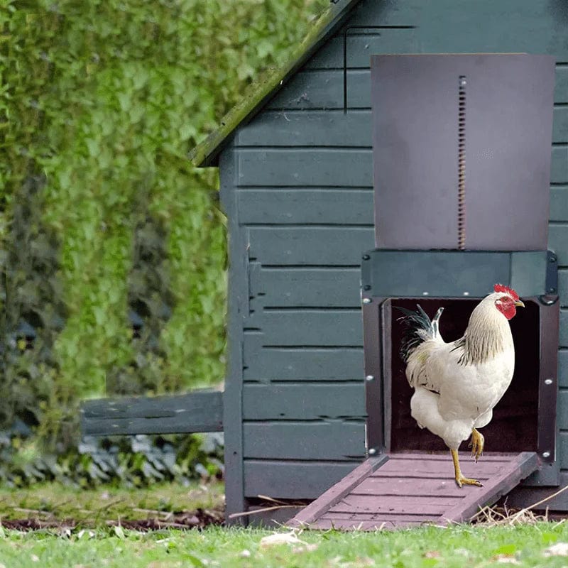 CluckPro - The Ultimate Automatic Chicken Coop Door