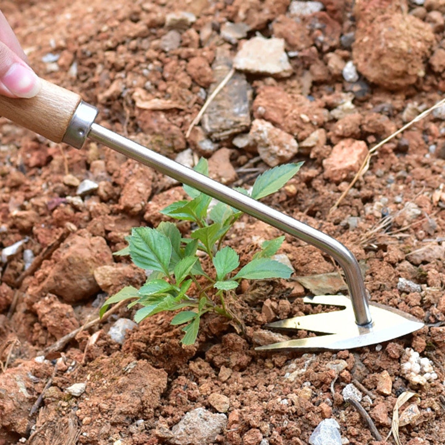 W44 PRO | Stainless Steel Weed Puller
