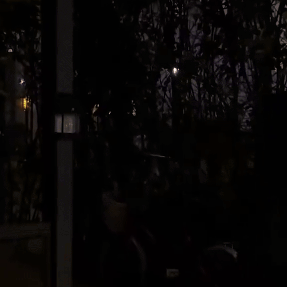L85 PRO | The Wire-Free Home Guardian Light