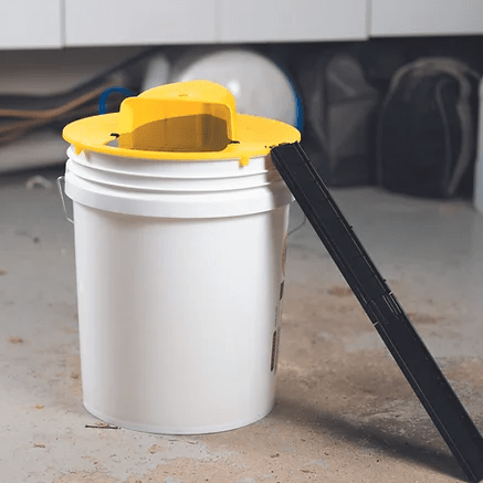 Revolutionary Mouse Trap