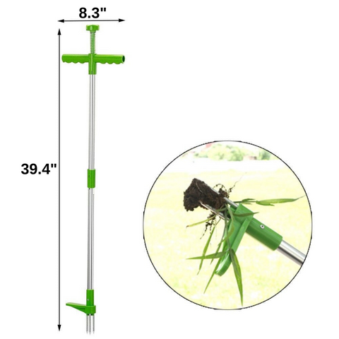 Premium Root Extractor