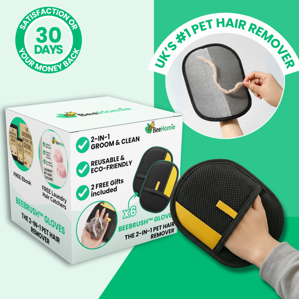 BeeBrush Gloves | The 2-in-1 Pet Hair Remover