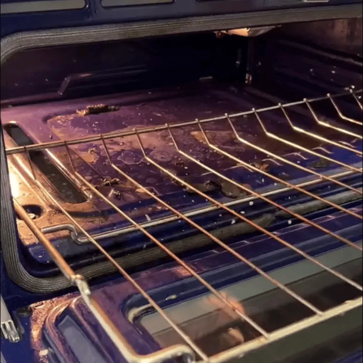 S70 PRO | All-In-One Home Steam Cleaner