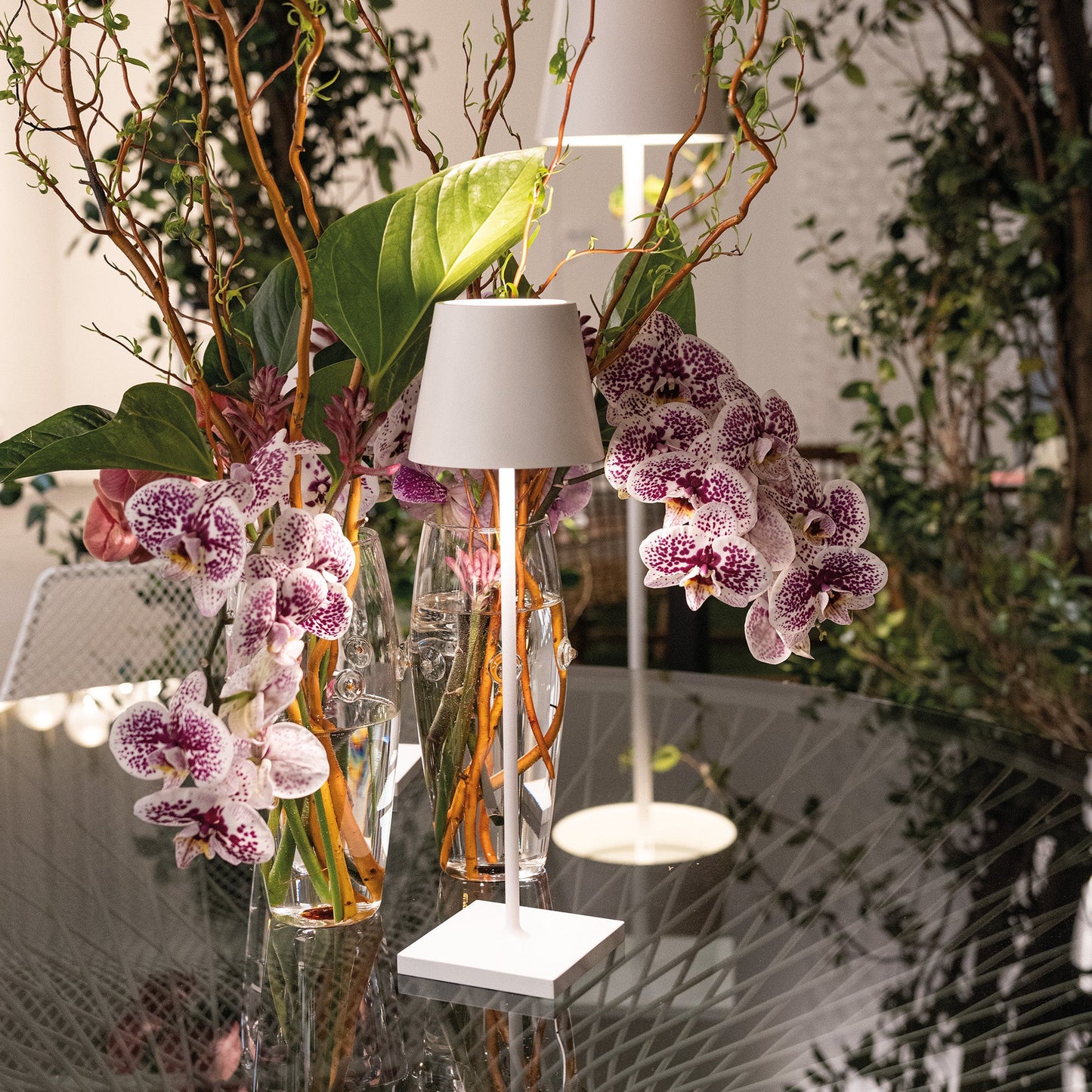 L70 PRO | The Cordless Ambiance Lamp