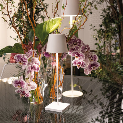 L70 PRO | The Cordless Ambiance Lamp