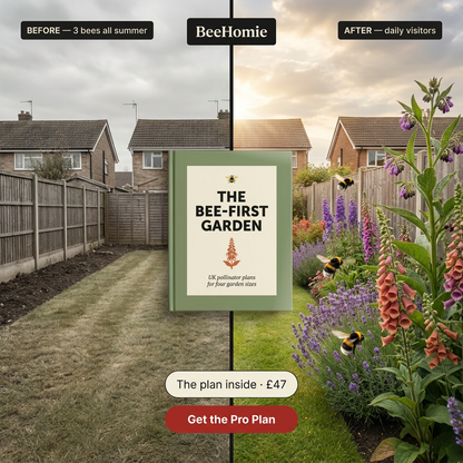 The Bee-First Garden