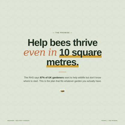 BeeHomie promise frame — 'Help bees thrive even in 10 square metres' typography.