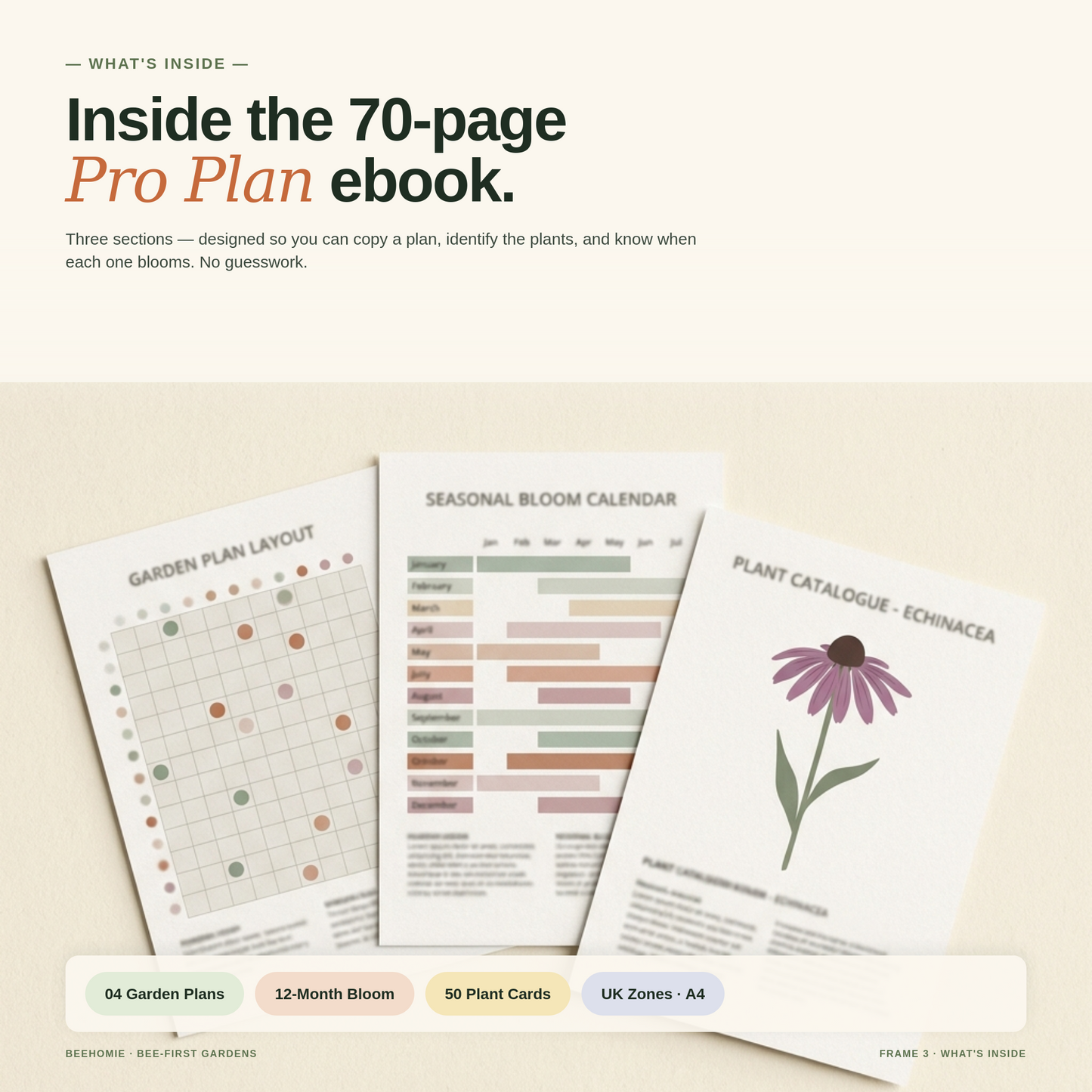 Three interior pages from the Bee-First Garden ebook fanned out — Garden Plan Layout grid, Seasonal Bloom Calendar with monthly bars, and a Plant Catalogue card for Echinacea.