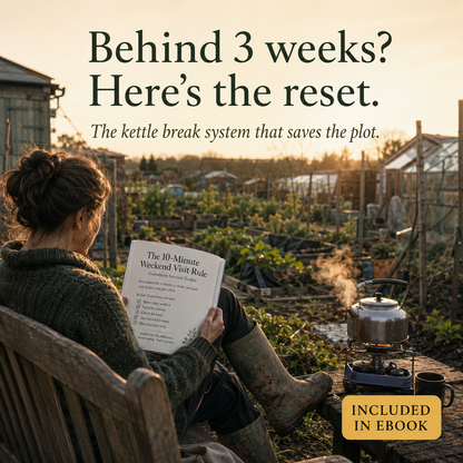 Bee-First Garden First Year on the Plot Edition