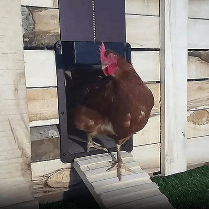 CluckPro - The Ultimate Automatic Chicken Coop Door