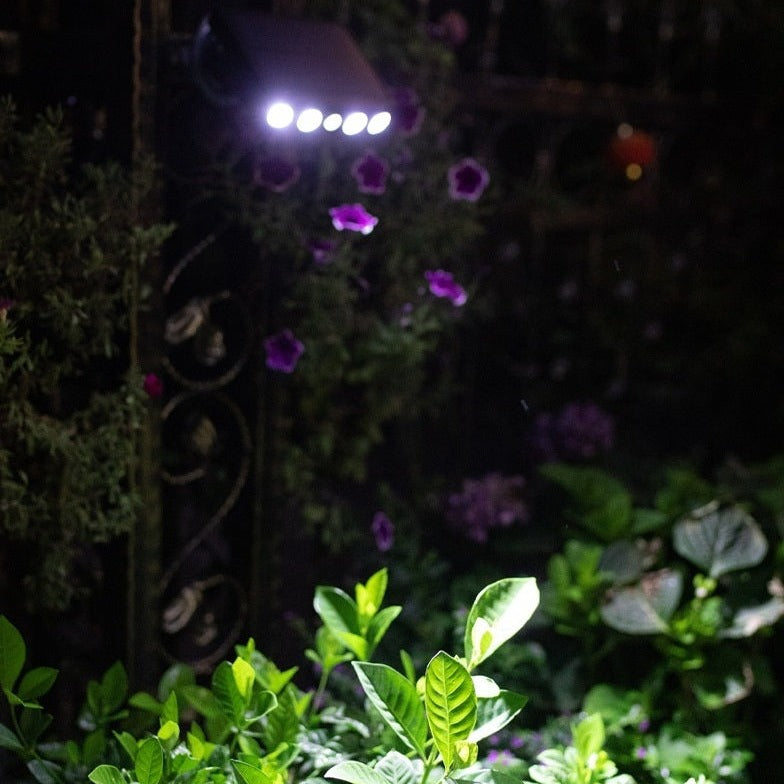 Powerful Solar Wall Lamp with Motion Detector