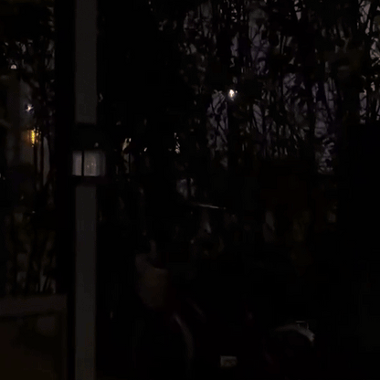 L85 PRO | The Wire-Free Home Guardian Light