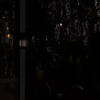 L85 PRO | The Wire-Free Guardian Lantern